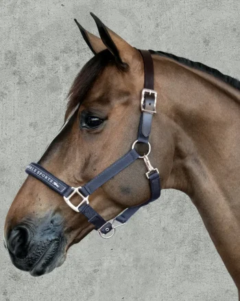 Online SCHOCKEMOEHLE N.A. Schockemöhle Memphis Halter