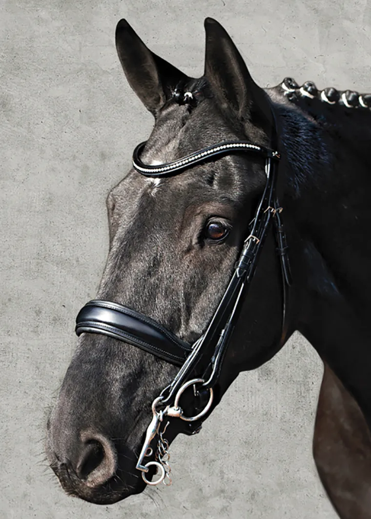 schockemhle-milan-anatomical-d-fRcLkdOh-1.webp Online SCHOCKEMOEHLE N.A. Schockemöhle Milan Anatomical Double Bridle Black/Silver