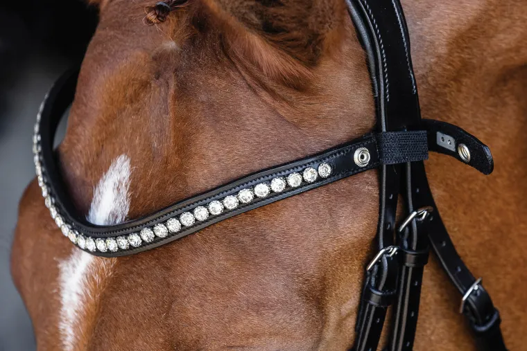 schockemhle-pisa-drop-nose-bri-fGhnsnju-2.webp Discount SCHOCKEMOEHLE N.A. Schockemöhle Pisa Drop Nose Bridle Black/Silver