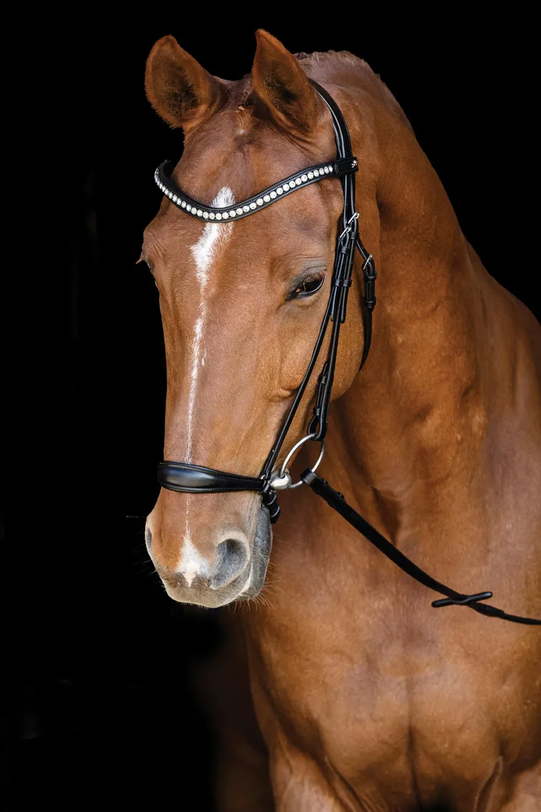 schockemhle-pisa-drop-nose-bri-fGhnsnju-3.webp Discount SCHOCKEMOEHLE N.A. Schockemöhle Pisa Drop Nose Bridle Black/Silver