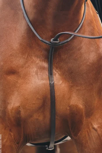 Clearance SCHOCKEMOEHLE N.A. Schockemöhle Santa Clara Standing Martingale Espresso/Silver