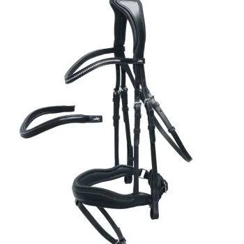 Discount SCHOCKEMOEHLE N.A. Schockemöhle Stanford Bridle Black