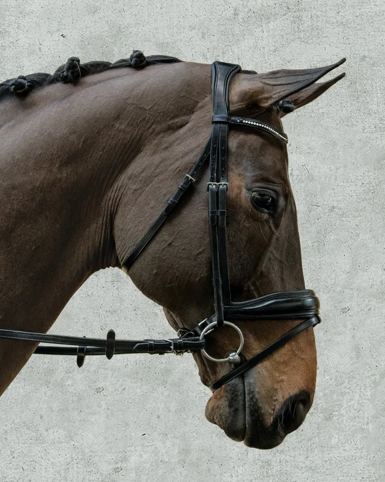 schockemhle-stanford-bridle-gotXhOkF-1.webp Discount SCHOCKEMOEHLE N.A. Schockemöhle Stanford Bridle Black