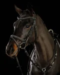schockemhle-tokyo-f-bridle-OkteOpES-0.webp