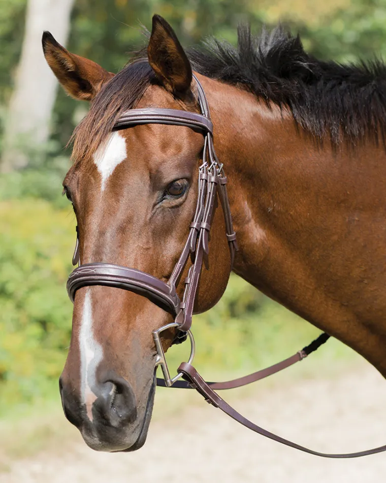 shires-avignon-wellington-brid-rqhRwNkK-0.webp Sale SHIRES EQUESTRIAN Shires Avignon Wellington Bridle Havana