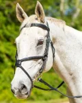 Hot SHIRES EQUESTRIAN Shires Avignon Woodside Bridle