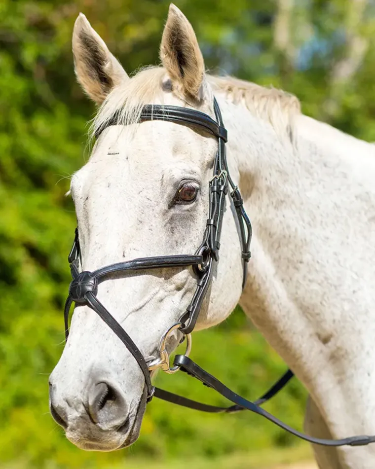 shires-avignon-woodside-bridle-WYfTXrwl-0.webp Hot SHIRES EQUESTRIAN Shires Avignon Woodside Bridle
