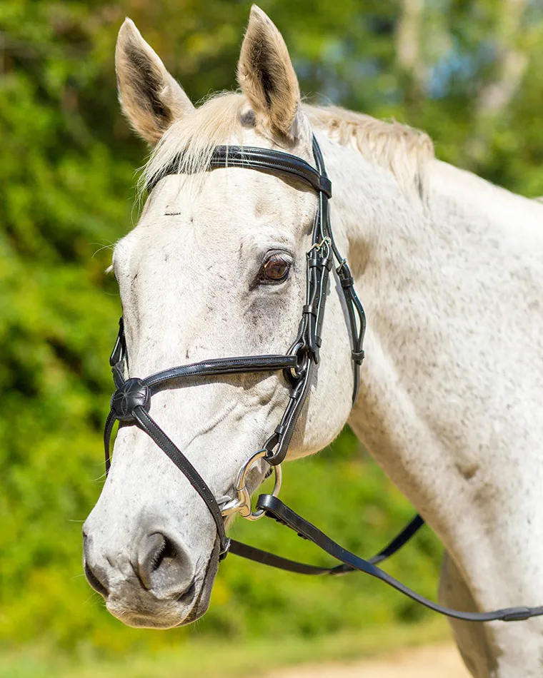 shires-avignon-woodside-bridle-WYfTXrwl-1.webp Hot SHIRES EQUESTRIAN Shires Avignon Woodside Bridle