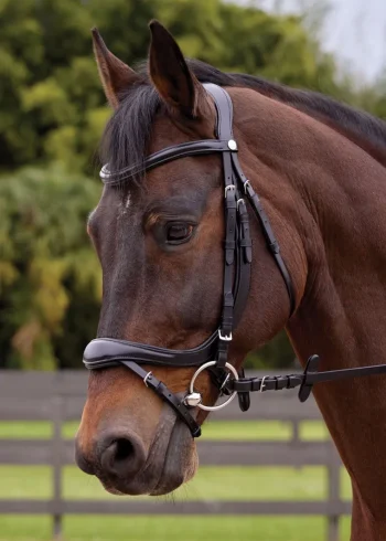 Clearance GLOBAL EXPORTS Showmark® Ergonomic Flash Bridle