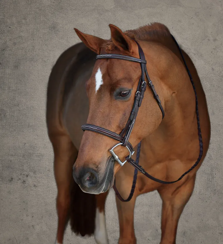 showmark-premier-padded-pony-h-SXKIlSxv-0.webp Online HARMOHN KRAFT Showmark® Premier Padded Pony Hunter Bridle Chocolate