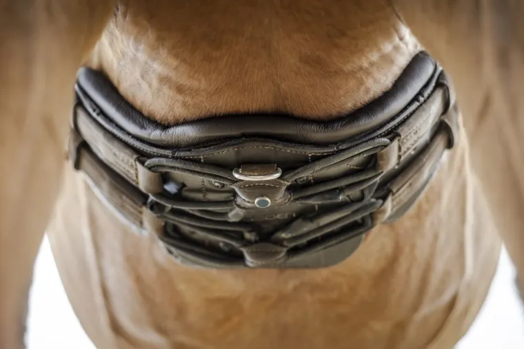 stbben-equi-soft-girth-KkVuSuCL-2.webp Best STUBBEN N.A. Stübben Equi-Soft® Girth