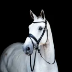 New STUBBEN N.A. Stübben Switch Combo Bridle Black/Black