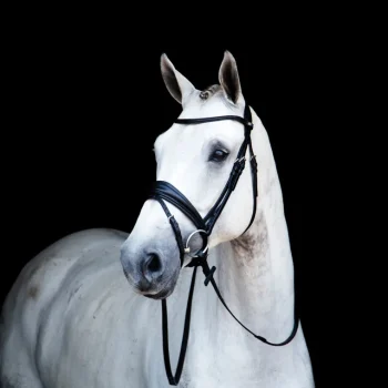 New STUBBEN N.A. Stübben Switch Combo Bridle Black/Black