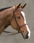 suffolk-classic-hunter-bridle-AwIcgXds-0.webp