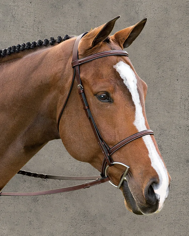 suffolk-classic-hunter-bridle-AwIcgXds-1.webp Fashion KINGS INTERNATIONAL Suffolk™ Classic Hunter Bridle Brown