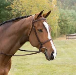suffolk-classic-hunter-bridle-AwIcgXds-0.webp