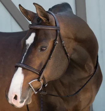 Best KINGS INTERNATIONAL Suffolk™ Fancy-Stitched Single Crown Bridle Brown