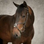Clearance KINGS INTERNATIONAL Suffolk™ Figure-8 Bridle Brown
