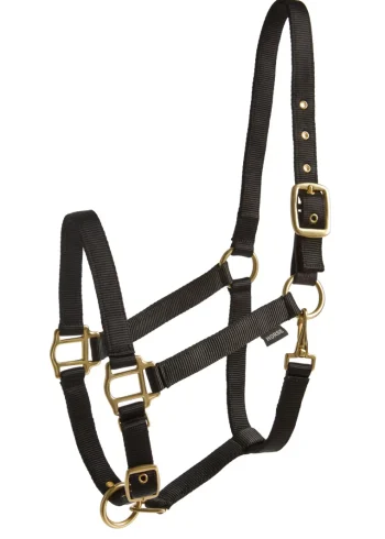 Fashion TEXT HORSE Suffolk™ Heavy Nylon Breakaway Halter With Fuse