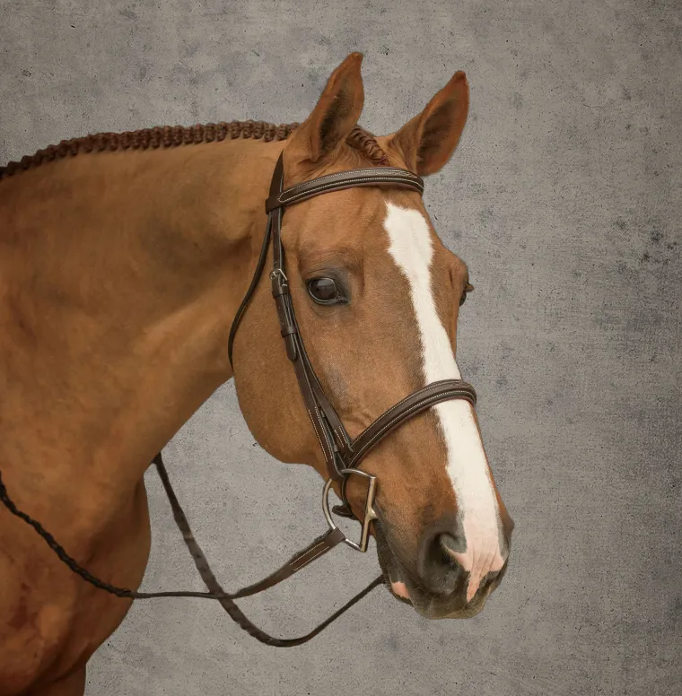 suffolk-hunter-bridle-osxPKFBC-1.webp Fashion KINGS INTERNATIONAL Suffolk™ Hunter Bridle Oakbark