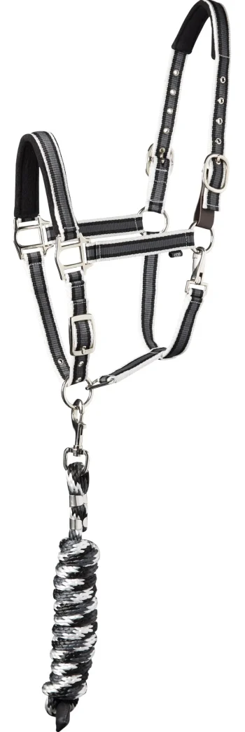 Online TEXT HORSE Suffolk™ Padded Striped Breakaway Halter & Lead