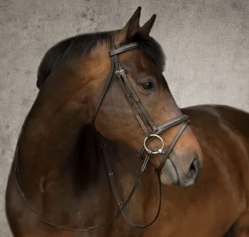 Best KINGS INTERNATIONAL Suffolk™ Single Crown Flash Bridle Brown