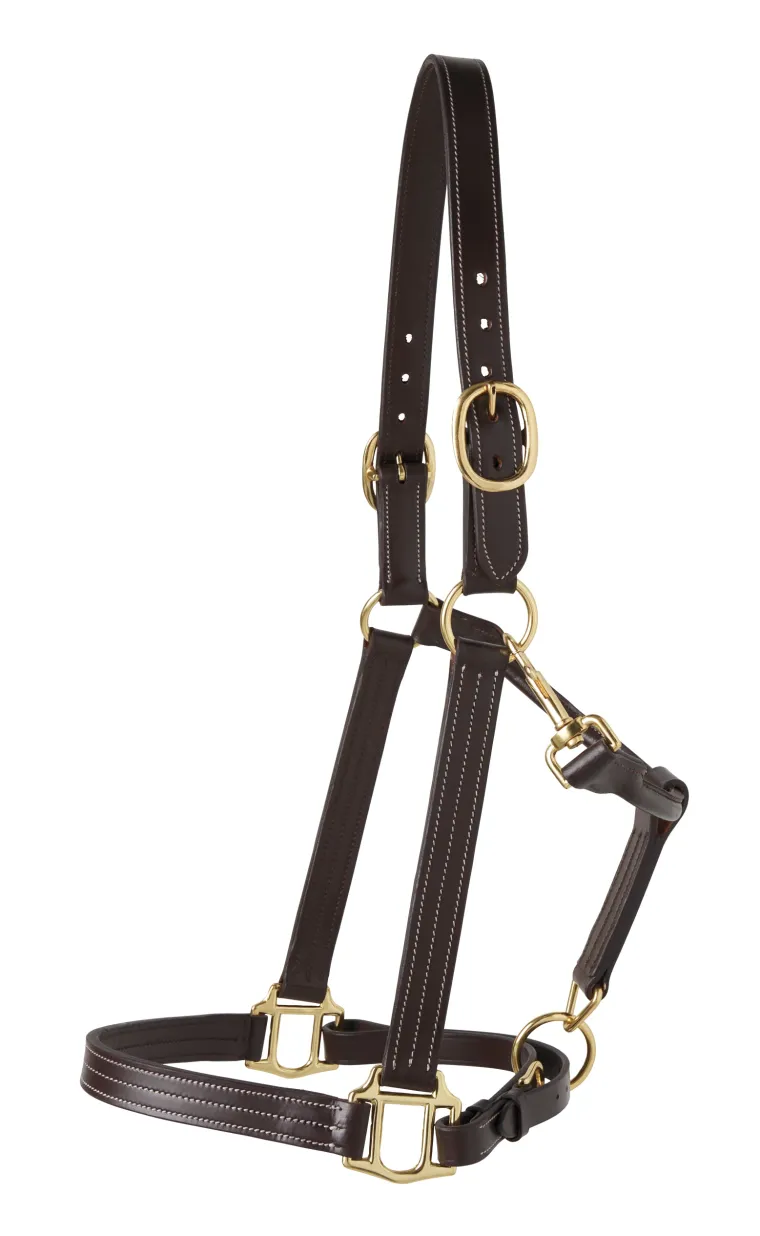 suffolk-triple-stitched-halter-eJDhLkLZ-0.webp Best PUSHKAR INTL Suffolk™ Triple-Stitched Halter Brown