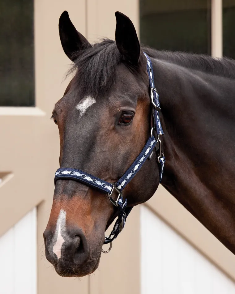 suffolk-woven-argyle-breakaway-KdILBetm-1.webp New TEXT HORSE Suffolk™ Woven Argyle Breakaway Halter