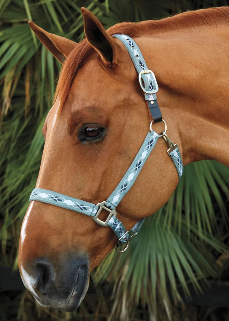 suffolk-woven-argyle-breakaway-KdILBetm-3.webp New TEXT HORSE Suffolk™ Woven Argyle Breakaway Halter