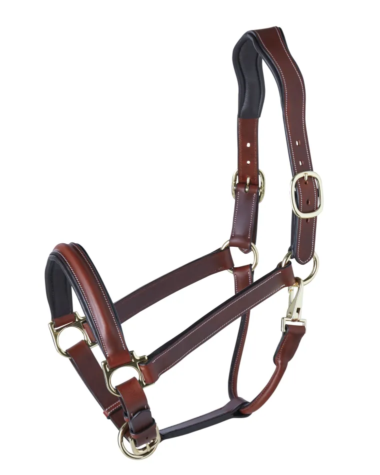 suffolkergonomic-halter-egSuGwNm-0.webp Hot PUSHKAR INTL Suffolk™ Ergonomic Halter