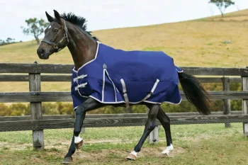 New WEATHERBEETA ® ComFiTec™ Essential Solid Medium Weight Turnout Blanket