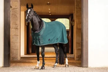 New HORSE HEALTH TRADE LeMieux® Luxe Fleece Rug Spruce