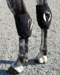 Best MACKINNON Ice Horse® Pony Hock Wrap – Pair