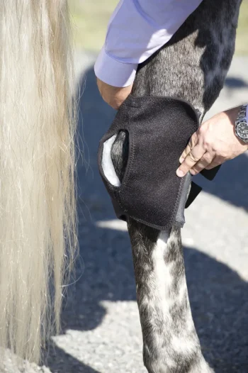 Best MACKINNON Ice Horse® Pony Hock Wrap – Pair