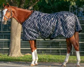 Fashion KENSINGTON ™ Signature Heavyweight Turnout Blanket