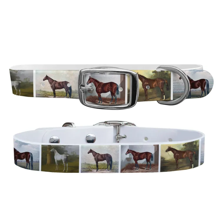 tUlnquaF_2.webp New SWYFT PRINTS/C4 C4 Equine Print Dog Collar