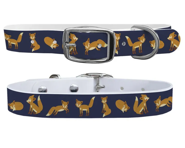 tUlnquaF_8.webp New SWYFT PRINTS/C4 C4 Equine Print Dog Collar