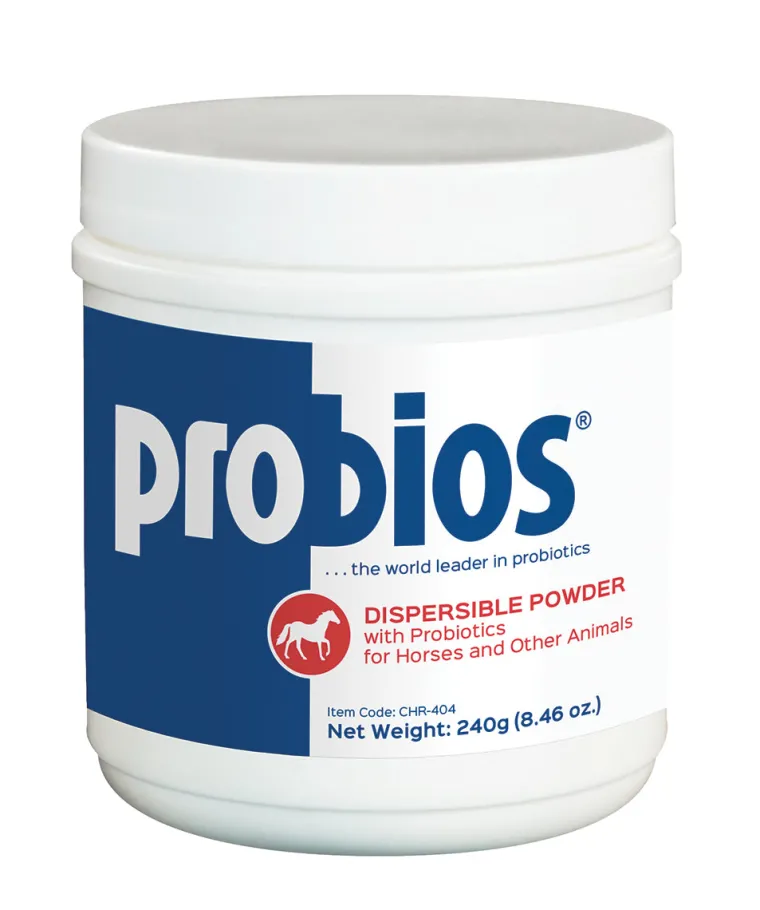 teKcpURl_0.webp New ANIMAL HEALTH INT Probios® Powder Digestive Supplement
