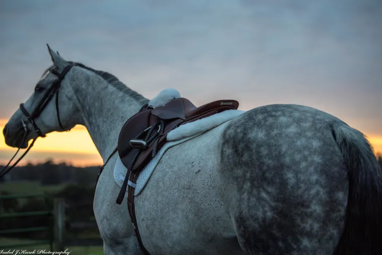 thinline-sheepskin-comfort-hal-sbiXkuzQ-3.webp Hot THINLINE ® Sheepskin Comfort Half Pad