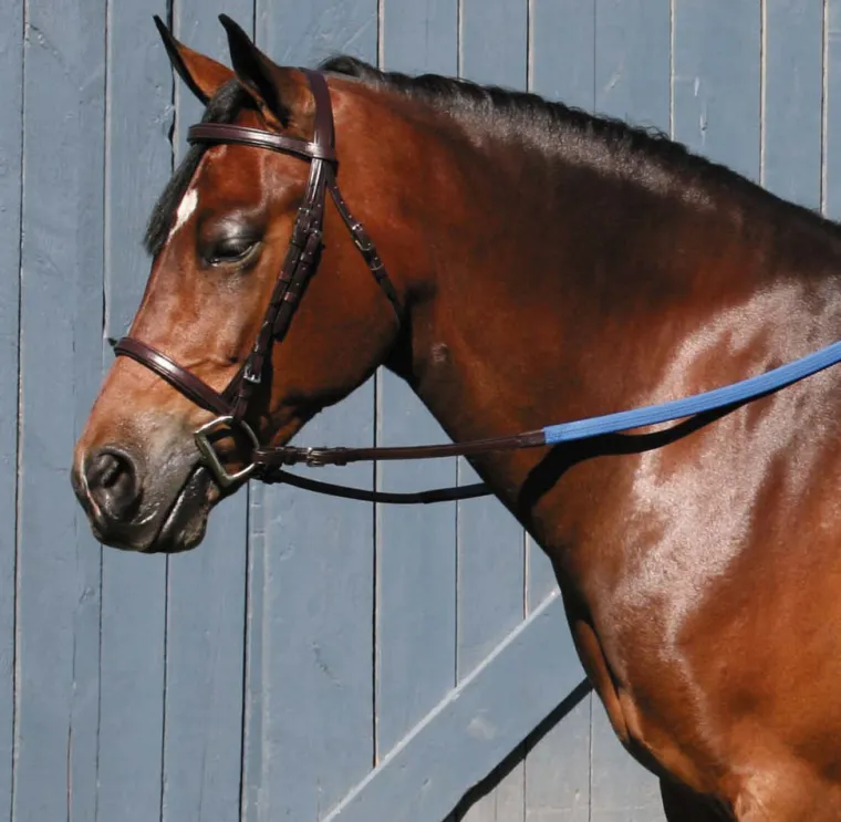 tory-leather-company-padded-en-PDjGTsqY-1.webp Best TORY LEATHER Company Padded English Bridle