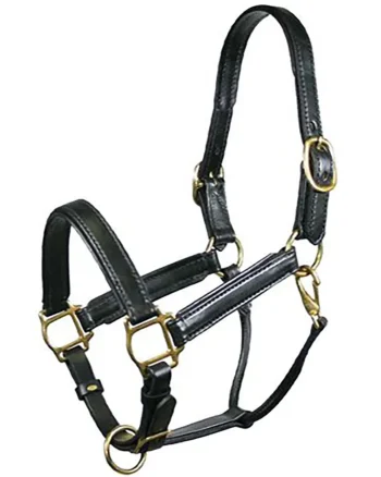 Fashion TORY LEATHER Company Padded Leather Halter