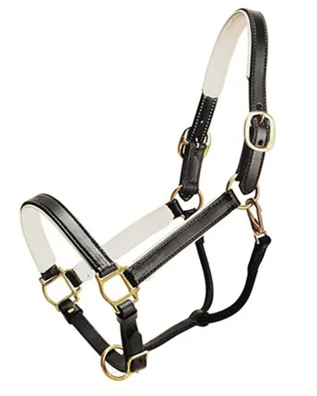 Fashion TORY LEATHER Company Padded Leather Halter
