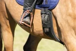 total-saddle-fit-stretchtec-sh-OzsyRqIj-0.webp