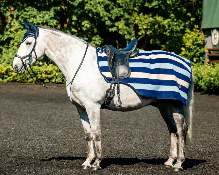 tsDDlVYG_1.webp Clearance HORSEWARE ® Ireland Newmarket Exercise Sheet