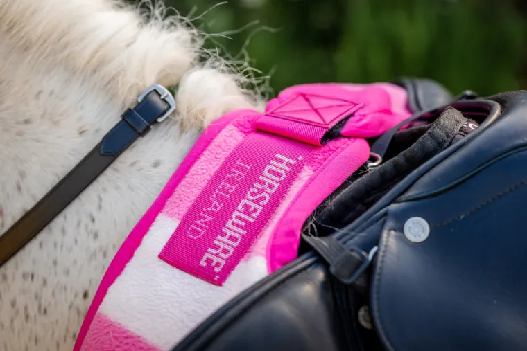 tsDDlVYG_4.webp Clearance HORSEWARE ® Ireland Newmarket Exercise Sheet