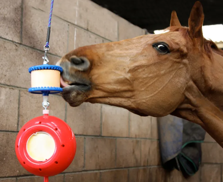 uJDNlyBO_2.webp New RJ MATTHEWS Likit™ Boredom Breaker™