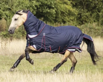 Clearance HORSE HEALTH TRADE LeMieux® Kudos 100 Gram Turnout Blanket with Leg Straps Navy