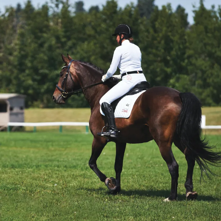 unbelt-cjgPKnul-5.webp Outlet UNBELTS Unbelt