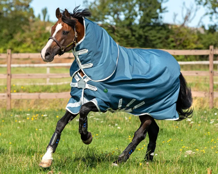utNyunmo_0.webp Online HORSEWARE ® Ireland Amigo® AmEco 12 Plus Lightweight Turnout Blanket Teal/Grey