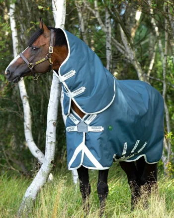 Online HORSEWARE ® Ireland Amigo® AmEco 12 Plus Lightweight Turnout Blanket Teal/Grey